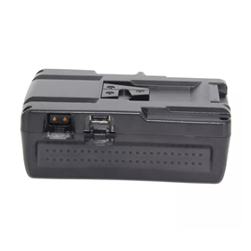 Batterie BP-190WS pour caméscope Sony