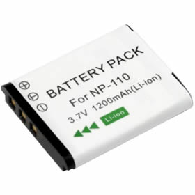 Batterie Lithium-ion pour Casio EXILIM EX-ZR15