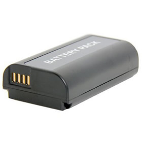 Batterie Lithium-ion pour Panasonic Lumix DC-S1GN-K