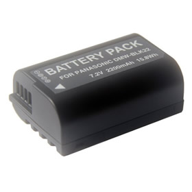 Batterie Lithium-ion pour Panasonic Lumix S5 II