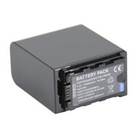 Panasonic Lumix DC-BS1HGK batteries