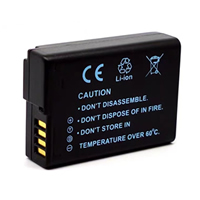 Panasonic Lumix DMC-GX1XPP-K batteries