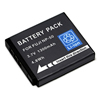 Batteries pour Kodak PLAYTOUCH Video Camera